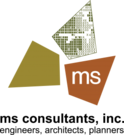 Ms Consultants